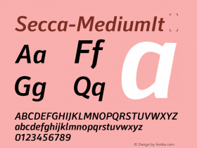 Secca-MediumIt