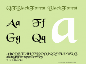 QTBlackForest