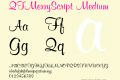 QTMerryScript