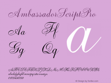 AmbassadorScriptPro