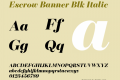 Escrow Banner Blk