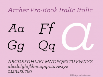 Archer Pro-Book Italic