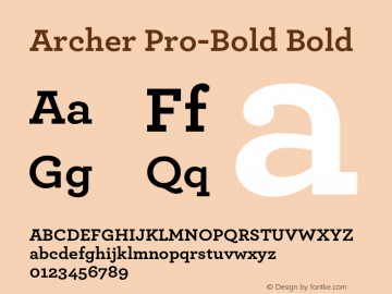 Archer Pro-Bold