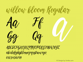 willow bloom