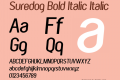 Suredog Bold Italic