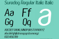Suredog Regular Italic