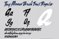 Tiny Moose Brush Font