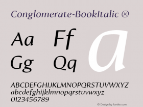 Conglomerate-BookItalic