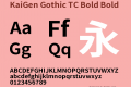 KaiGen Gothic TC Bold