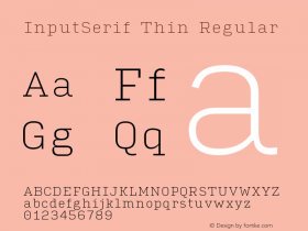 InputSerif Thin