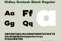 Ridley Grotesk Black