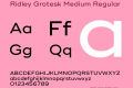 Ridley Grotesk Medium