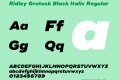 Ridley Grotesk Black Italic