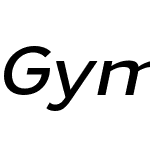 GymkhanaW05-BookItalic