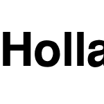 Holland Reg Bold