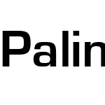 Palindrome SSi
