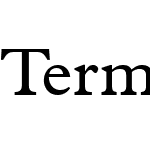 Terminus SSi