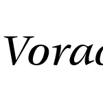 Vorace Medium SSi