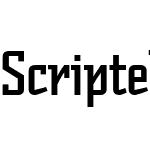 Scriptek LET