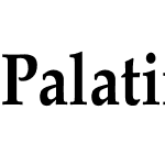 Palatino-Bold Th