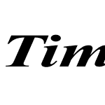 Times Roman Ex bold italic