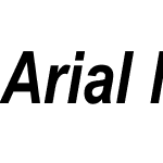 Arial Narrow Bold Italic