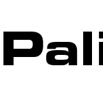 Palindrome Expanded SSi