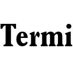 Terminus Black Condensed SSi