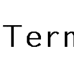 TermPaper