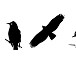 Bird Silhouettes