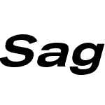 Sage Extended Medium