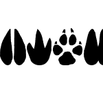 AnimalTracks