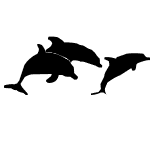 Dolphins