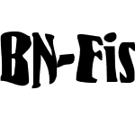 BN-FishEye