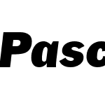 PaschDisplaySSi