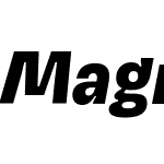 Magnet