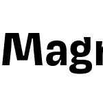 Magnet