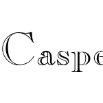 CasperOpenFace