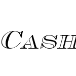 Cash Outline