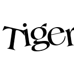 TigerFont16 ttcon