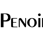 Penoir