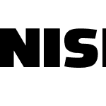 NiseSonic