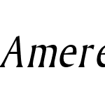 Ameretto Condensed