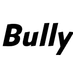 Bully Narrow