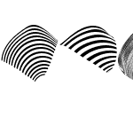 ZebraShapes