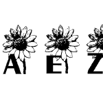 AEZ sunflower letters