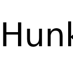 Hunky Sans