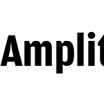 AmplitudeCond-Bold