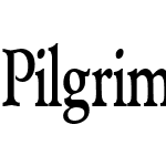 PilgrimCondensed