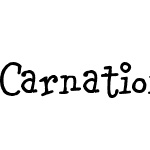 Carnation